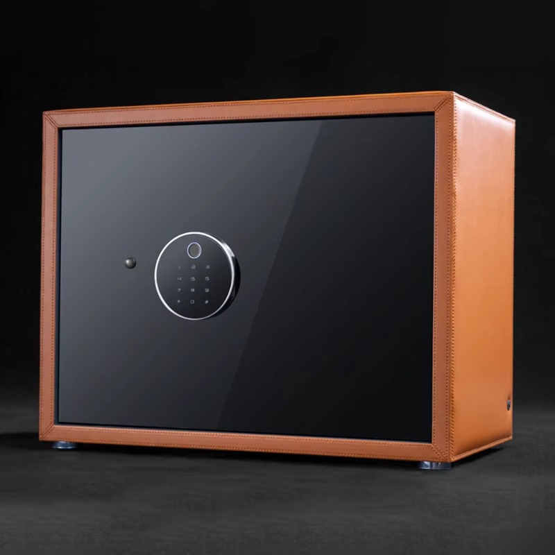 Carica Orologi Automatico di L - Luxury Watch Safe recensione e prezzo